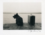 Dog with suitcase - 1982